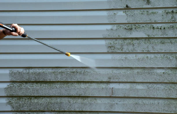 Best Exterior Home Cleaning  in Bella Vista, AR