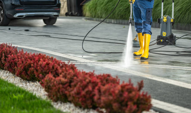 Best Deck Cleaning Services  in Bella Vista, AR